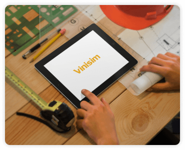 Vinisim Tablet